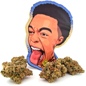 Duttpack | Dutt Pack Weed | Strawberry Champagne Weed Strain | Duttpacks.com