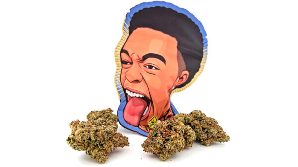 Duttpack | Dutt Pack Weed | Strawberry Champagne Weed Strain | Duttpacks.com